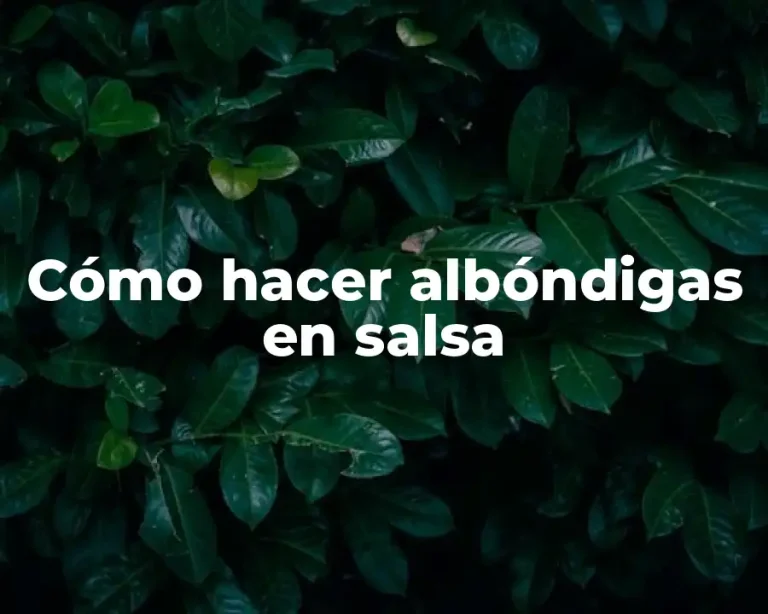 Cómo hacer albóndigas en salsa