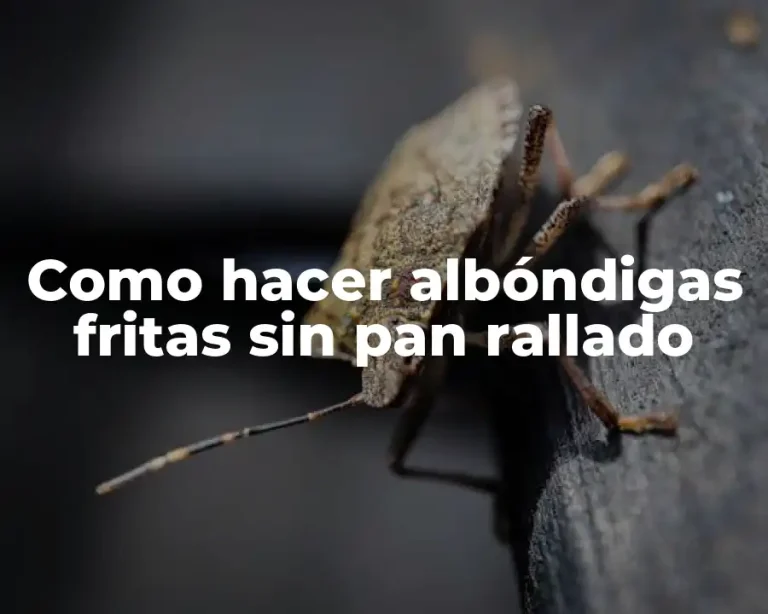 Como hacer albóndigas fritas sin pan rallado