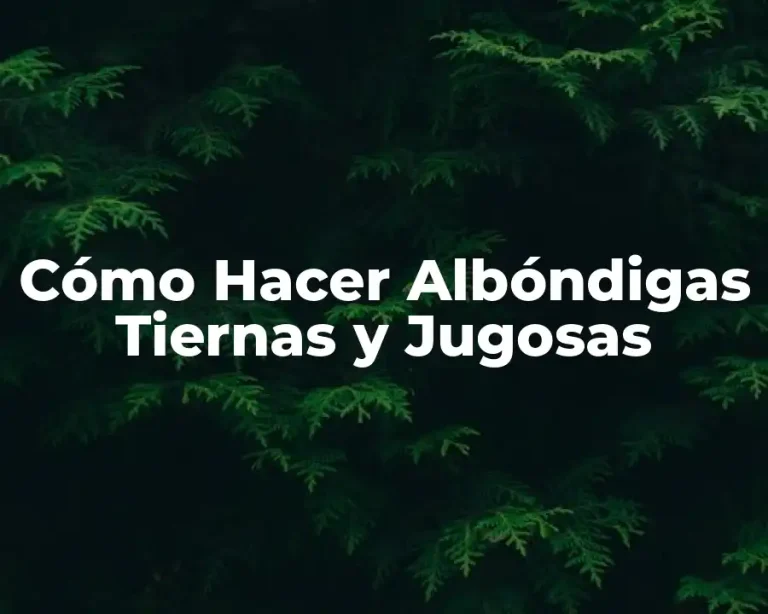 Cómo Hacer Albóndigas Tiernas y Jugosas