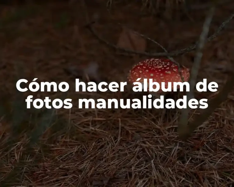 Cómo hacer álbum de fotos manualidades