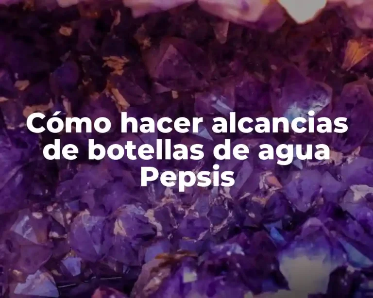 Cómo hacer alcancias de botellas de agua Pepsis