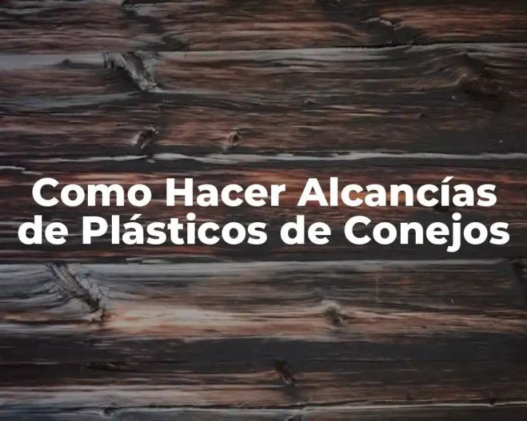 Como Hacer Alcancías de Plásticos de Conejos