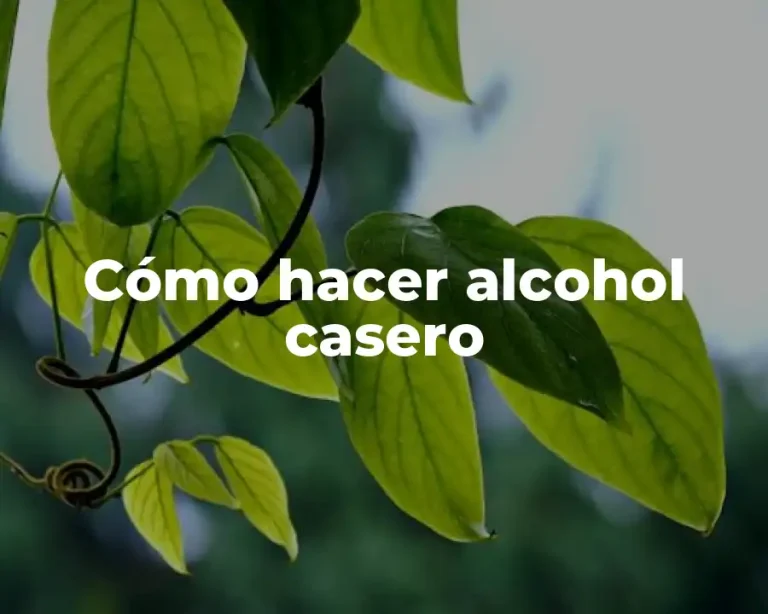 Cómo hacer alcohol casero