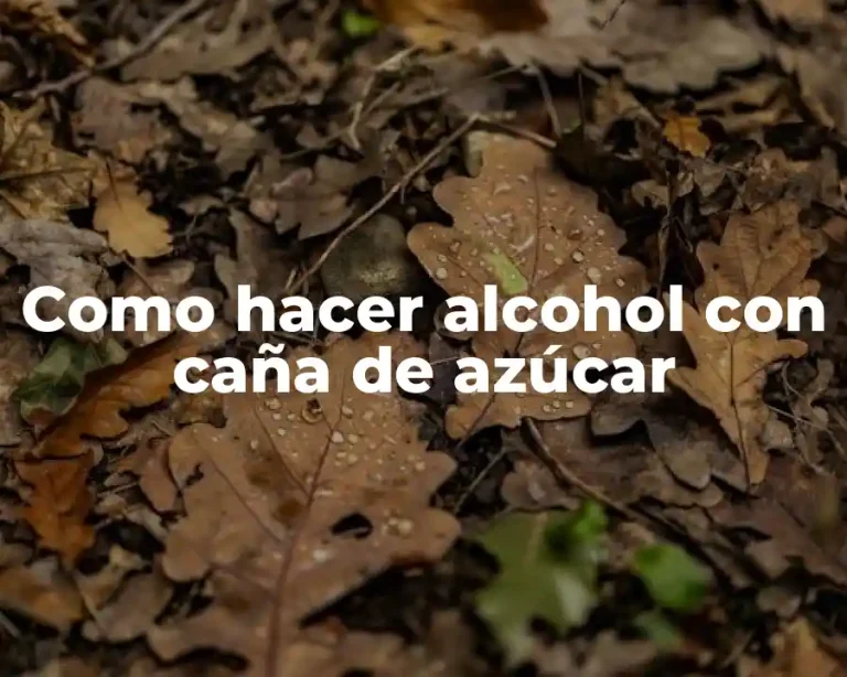 Como hacer alcohol con caña de azúcar