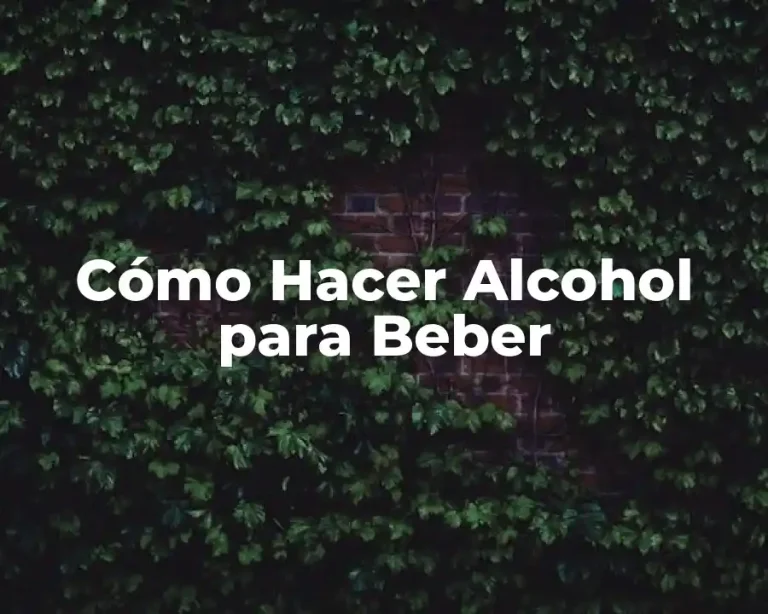 Cómo Hacer Alcohol para Beber