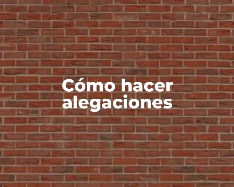 Cómo hacer alegaciones