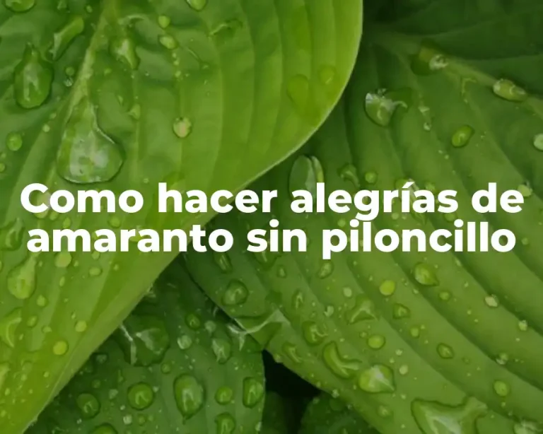 Como hacer alegrías de amaranto sin piloncillo