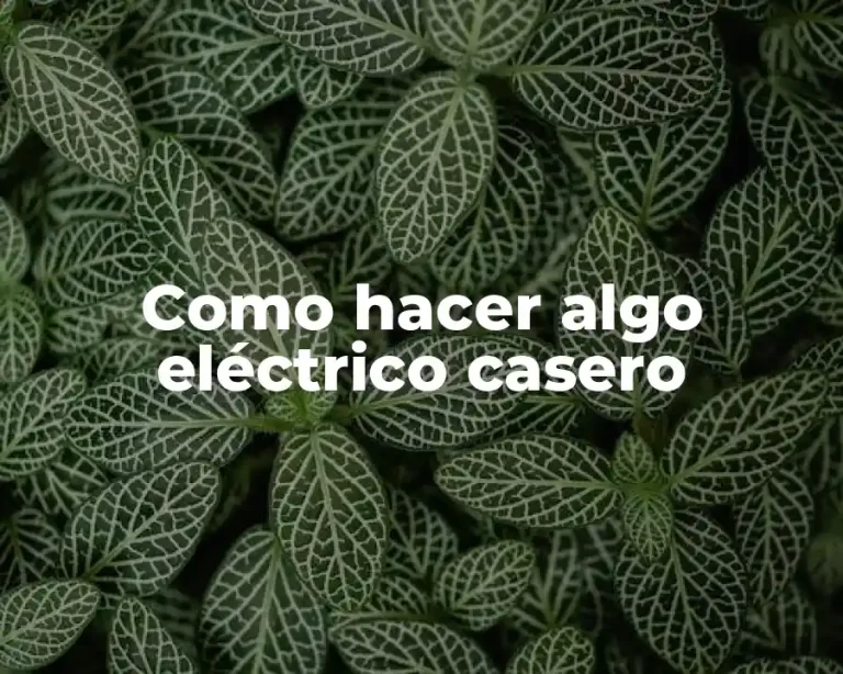 Como hacer algo eléctrico casero