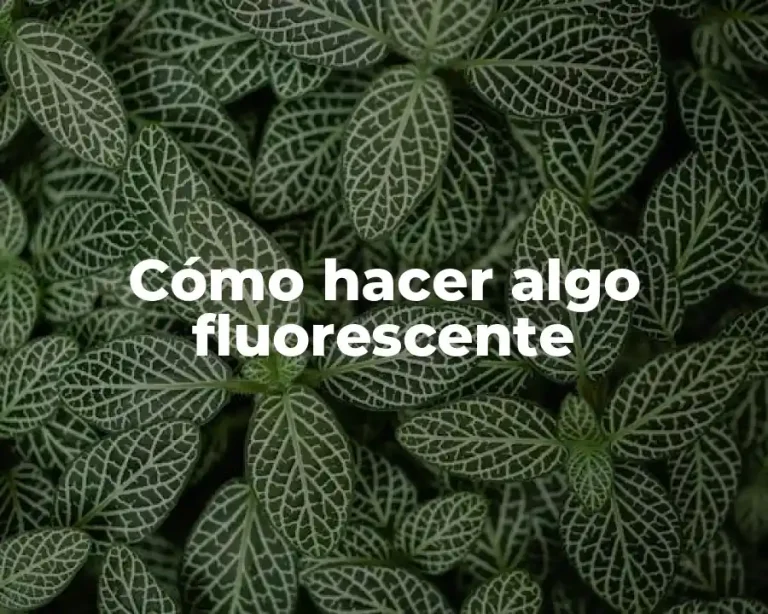 Cómo hacer algo fluorescente
