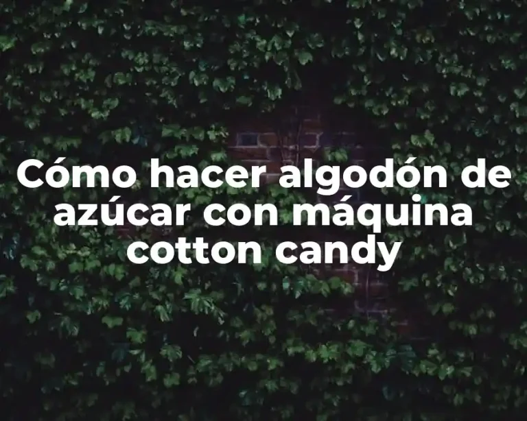 Cómo hacer algodón de azúcar con máquina cotton candy