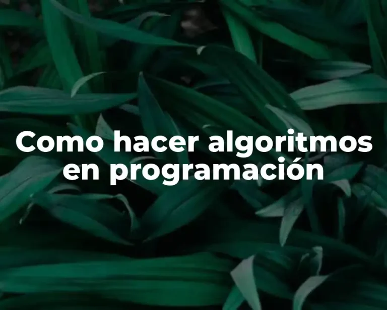 Como hacer algoritmos en programación