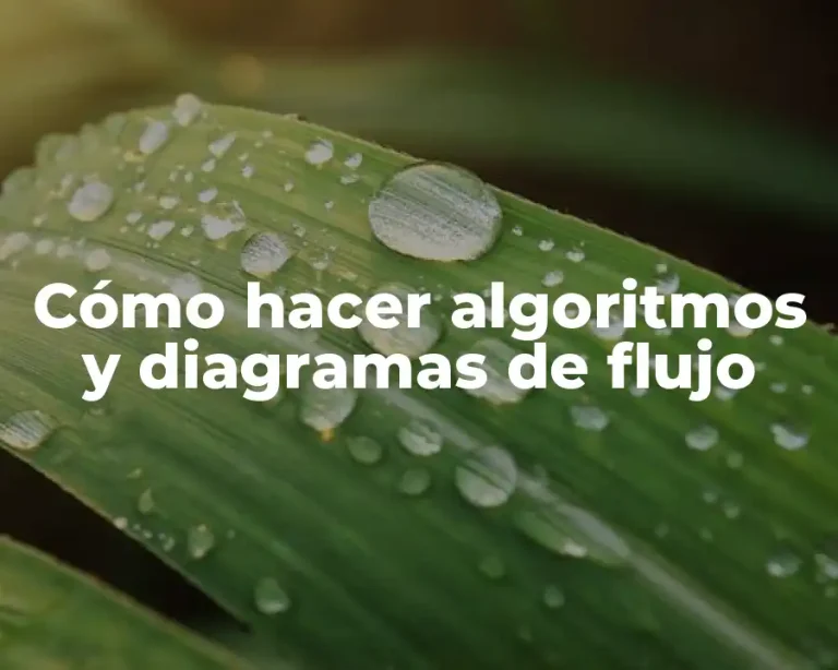 Cómo hacer algoritmos y diagramas de flujo