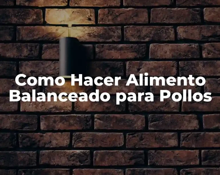 Como Hacer Alimento Balanceado para Pollos