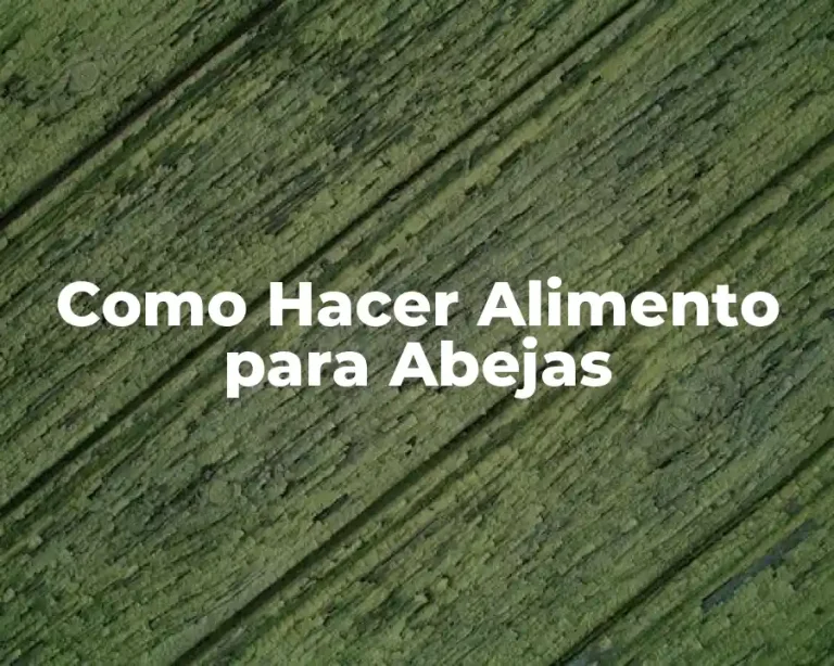Como Hacer Alimento para Abejas