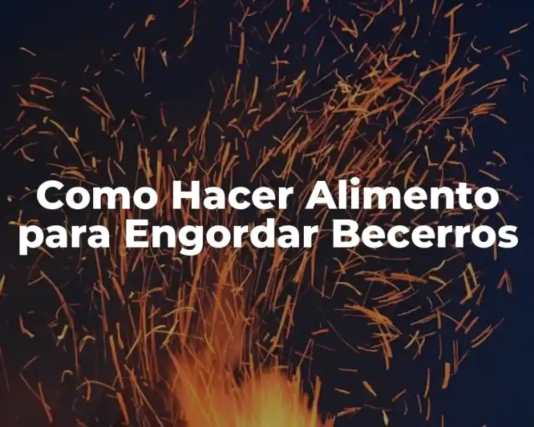 Como Hacer Alimento para Engordar Becerros