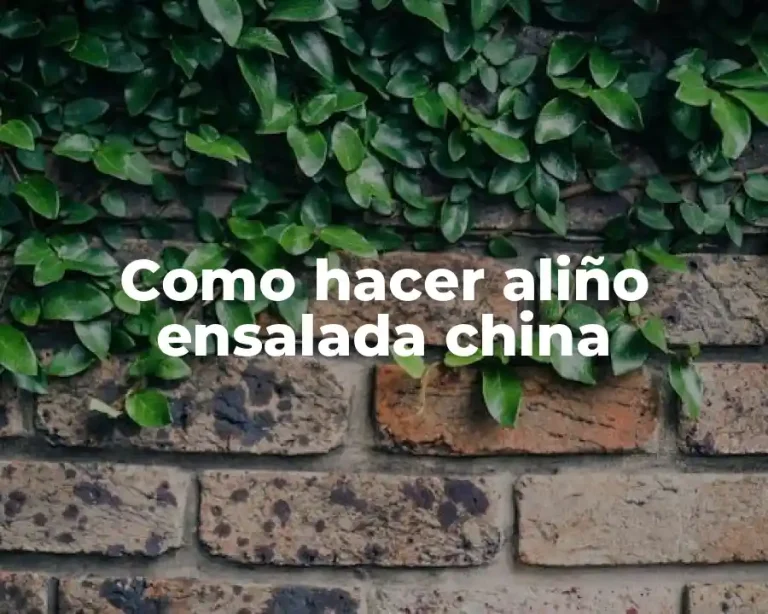 Como hacer aliño ensalada china