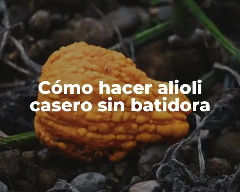 Cómo hacer alioli casero sin batidora