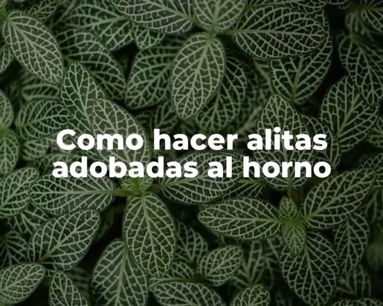 Como hacer alitas adobadas al horno