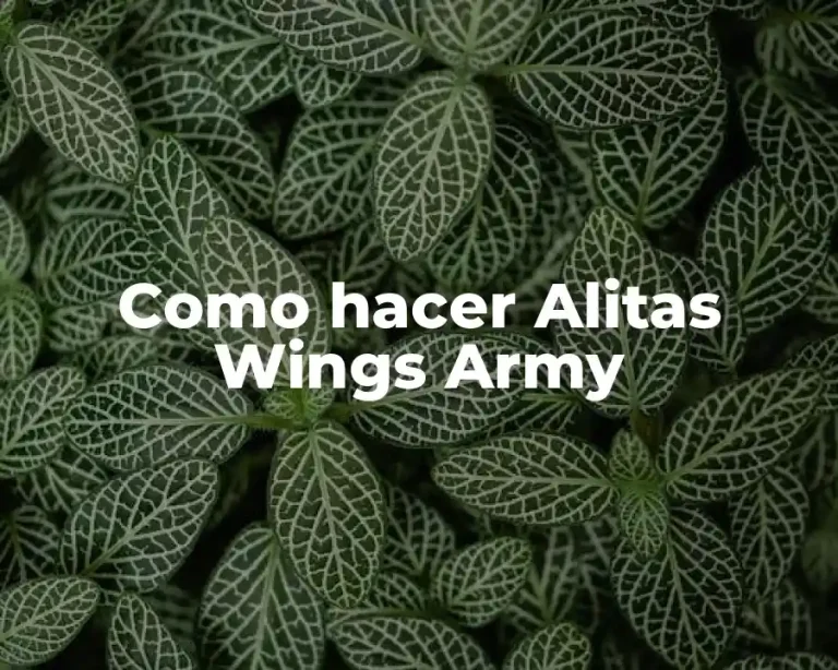 Como hacer Alitas Wings Army