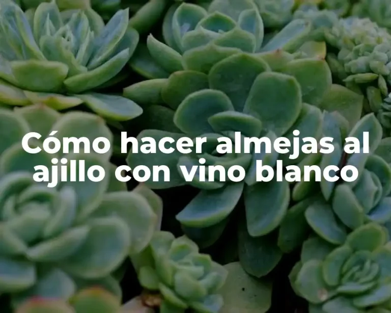 Cómo hacer almejas al ajillo con vino blanco