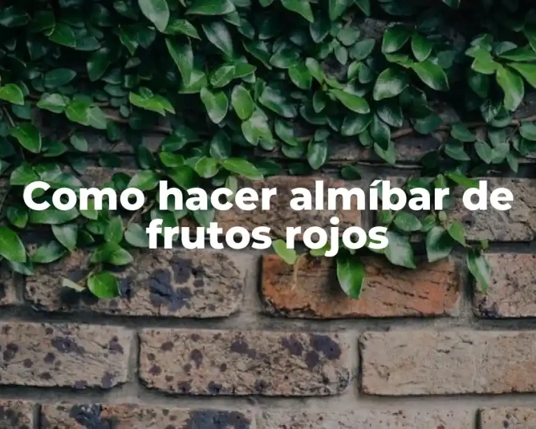 Como hacer almíbar de frutos rojos