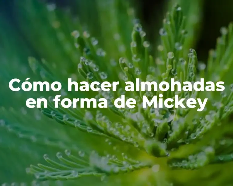 Cómo hacer almohadas en forma de Mickey