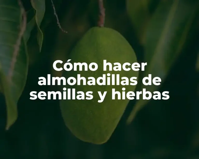 Cómo hacer almohadillas de semillas y hierbas