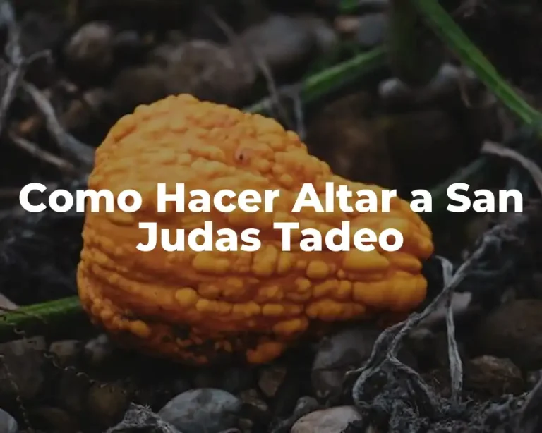 Como Hacer Altar a San Judas Tadeo