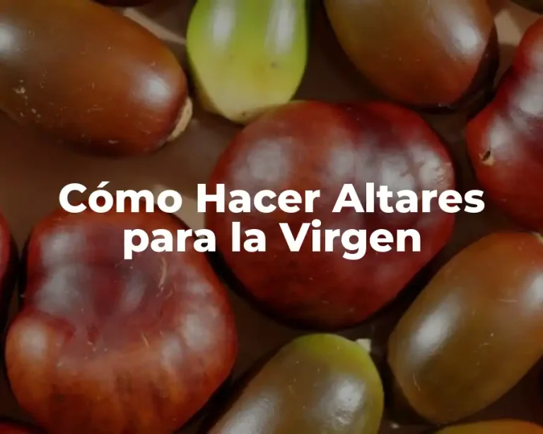 Cómo Hacer Altares para la Virgen