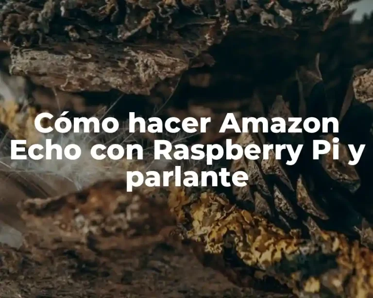 Cómo hacer Amazon Echo con Raspberry Pi y parlante