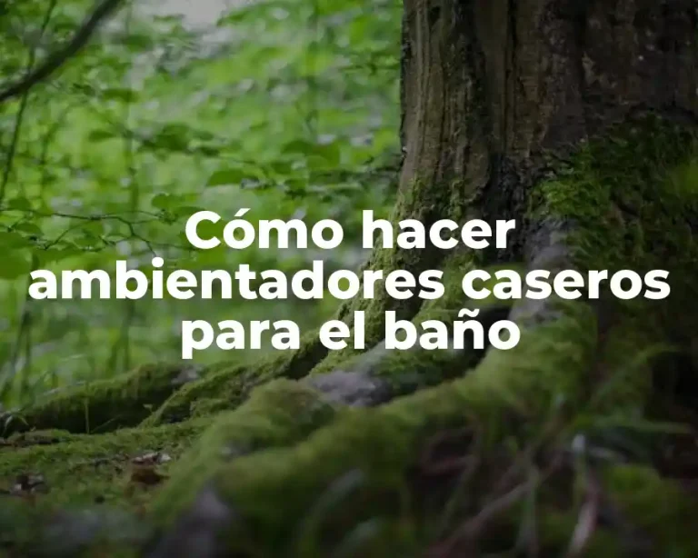 Cómo hacer ambientadores caseros para el baño