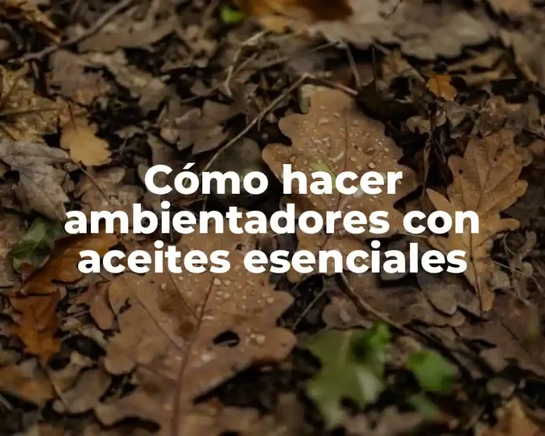 Cómo hacer ambientadores con aceites esenciales
