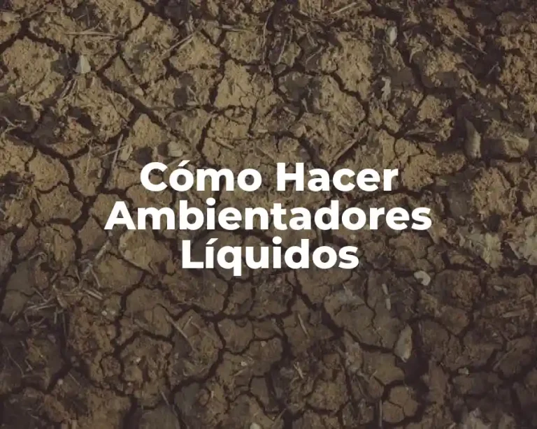 Cómo Hacer Ambientadores Líquidos