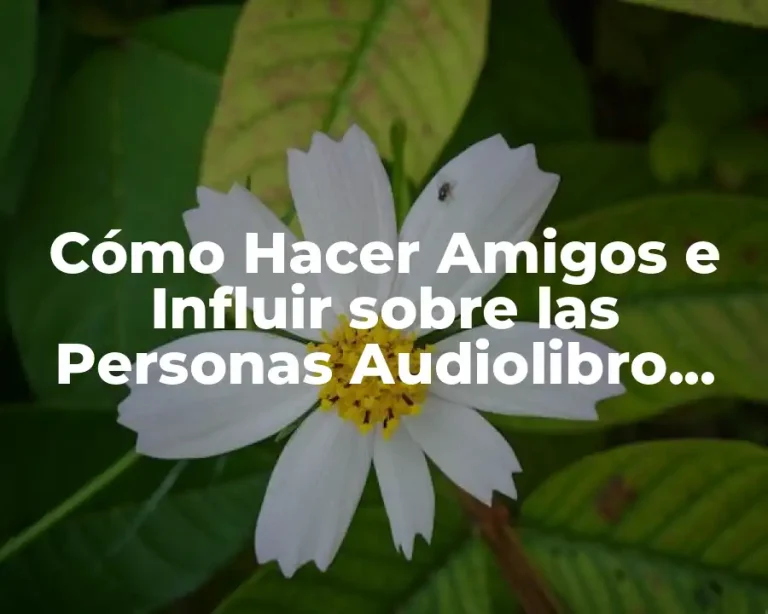 Cómo Hacer Amigos e Influir sobre las Personas Audiolibro Completo