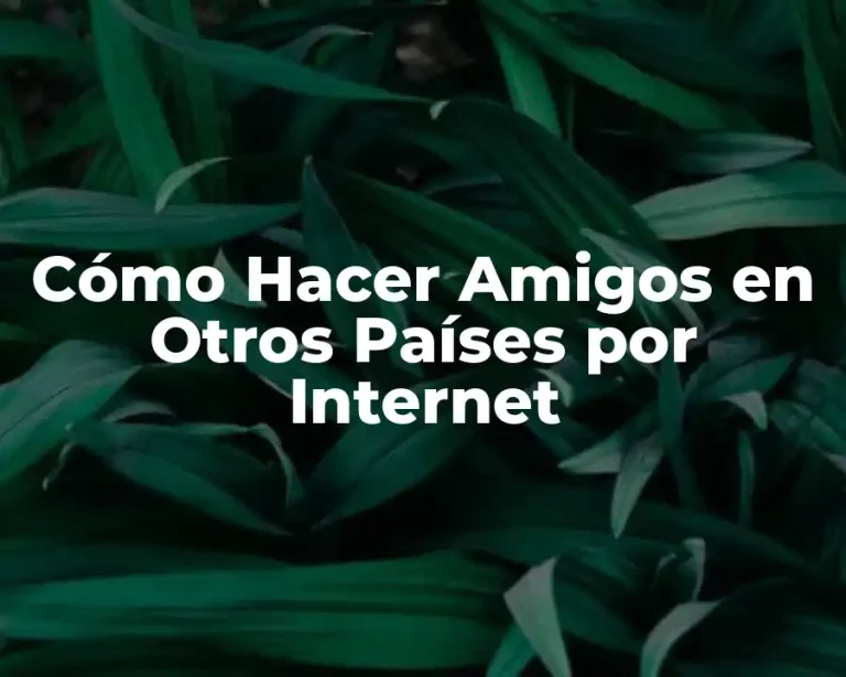 Cómo Hacer Amigos en Otros Países por Internet
