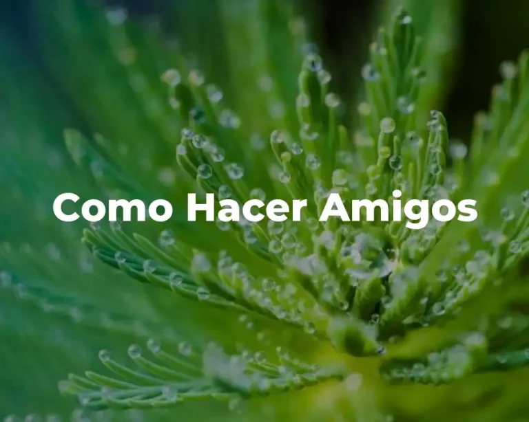 Como Hacer Amigos