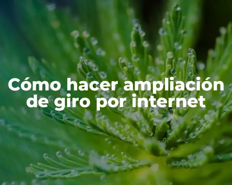 Cómo hacer ampliación de giro por internet