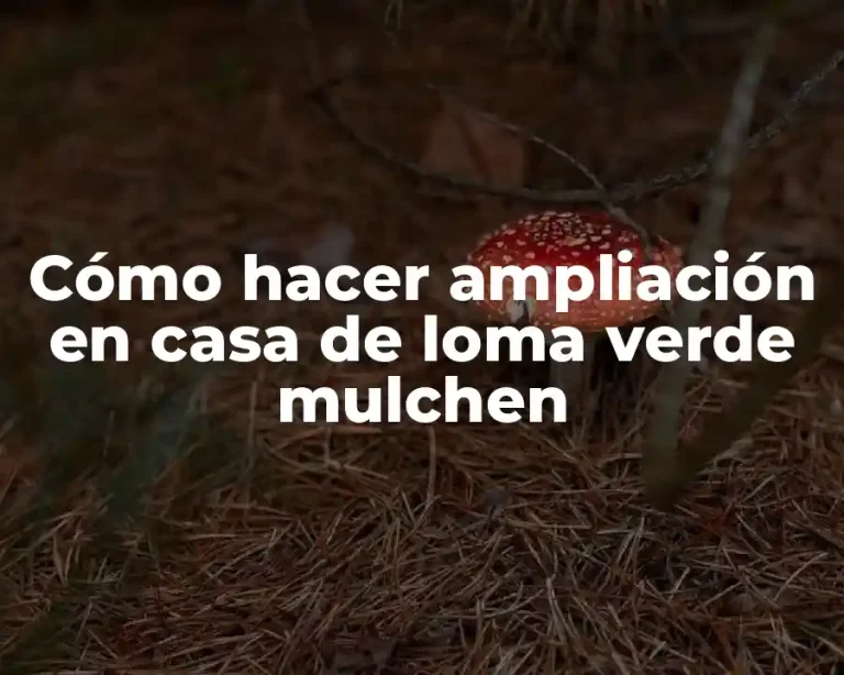 Cómo hacer ampliación en casa de loma verde mulchen