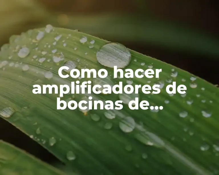 Como hacer amplificadores de bocinas de computadora