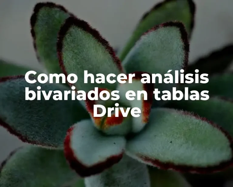 Como hacer análisis bivariados en tablas Drive