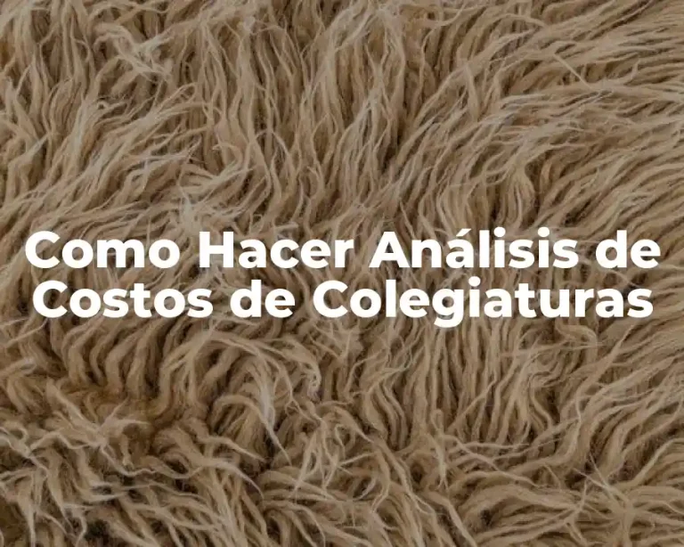 Como Hacer Análisis de Costos de Colegiaturas