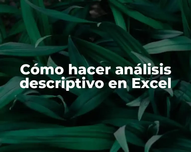 Cómo hacer análisis descriptivo en Excel