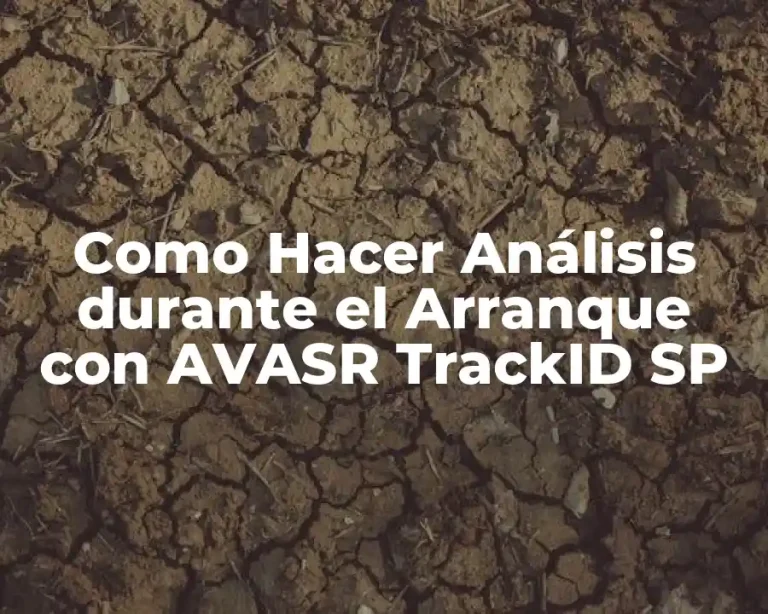 Como Hacer Análisis durante el Arranque con AVASR TrackID SP
