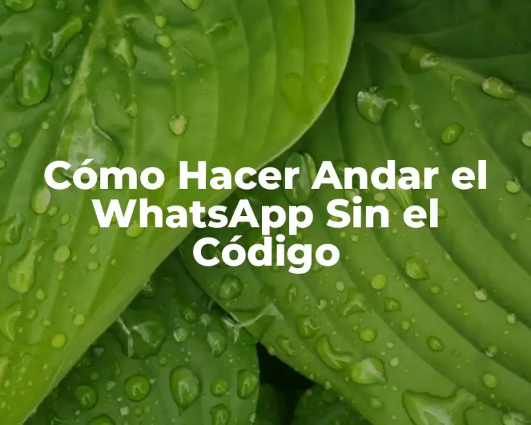 Cómo Hacer Andar el WhatsApp Sin el Código
