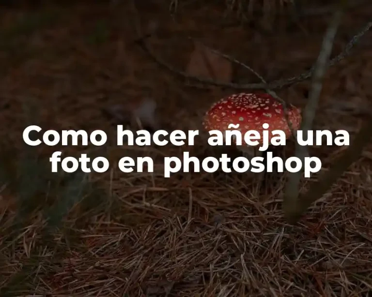 Como hacer añeja una foto en photoshop