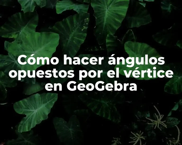 Cómo hacer ángulos opuestos por el vértice en GeoGebra