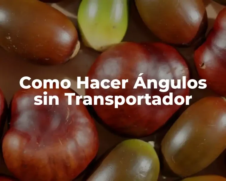 Como Hacer Ángulos sin Transportador