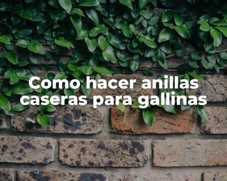 Como hacer anillas caseras para gallinas