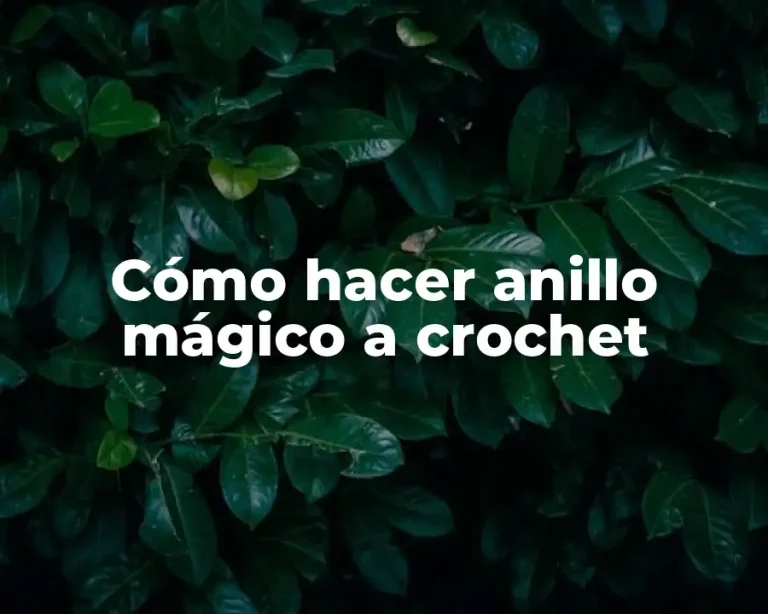 Cómo hacer anillo mágico a crochet