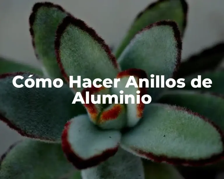 Cómo Hacer Anillos de Aluminio
